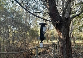 Photograph of a trap on a farm in Motril.