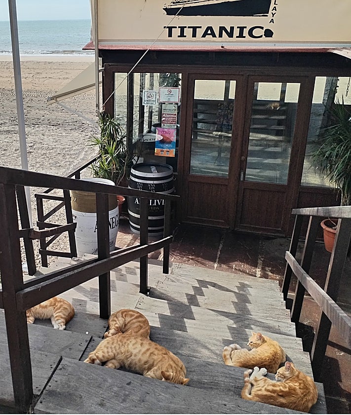 Imagen secundaria 2 - On the promenade.