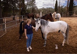 Signe Froslee, head of 'A Better Life 4 Horses', with some of the animals.