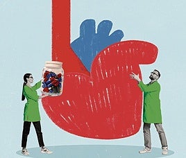 Man's heart vs woman's heart; who's more at risk of a heart attack or stroke?