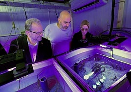 Minister Dr John Cortes (l) looks at the seagrass growing in the nursery.