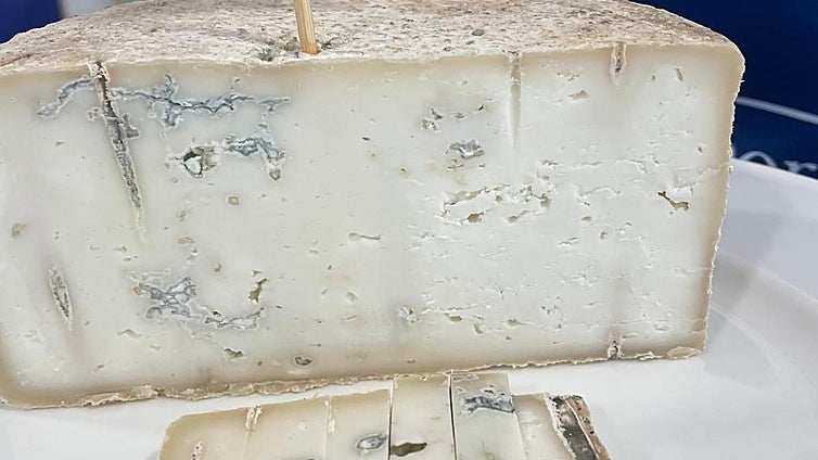 These are the best goat's milk cheeses produced in Malaga province