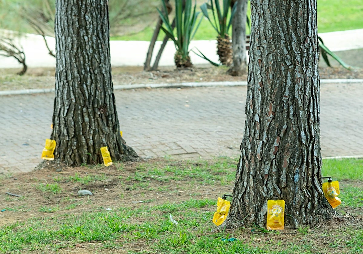One of the treatments being carried out in the Tres Jardines park.