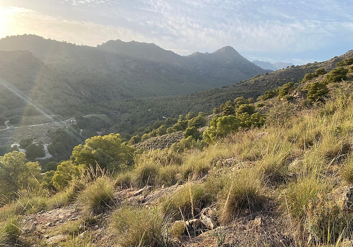 Amended plans for housing development near famous Costa del Sol tourist cave given green light