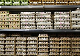 Eggs sold in a supermarket.