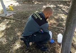 The Guardia Civil remove the bowls of poisoned water.