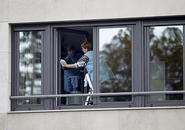 A housekeeper cleaning a window.