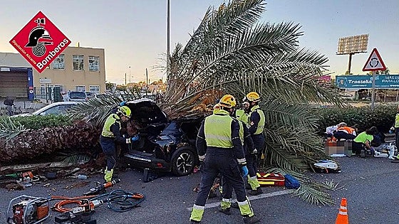 Young man dies after palm tree crushes his car while he was driving on Spain's Costa Blanca