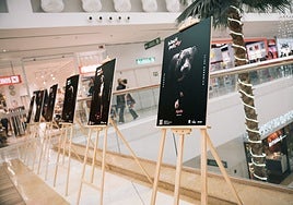 The Black Pet Day campaign will run until 30 November.