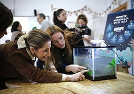 An image of the presentation of the project 'Nature in the classroom', developed by Bioparc Fuengirola.