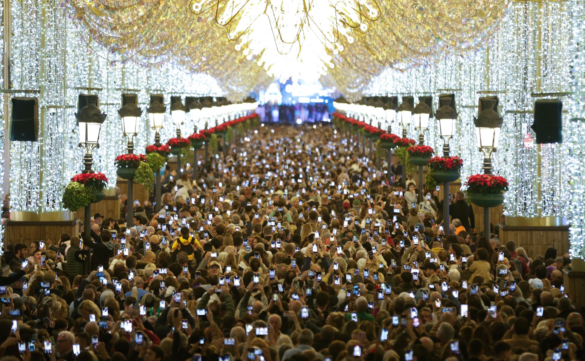 In pictures: Malaga lights up for Christmas