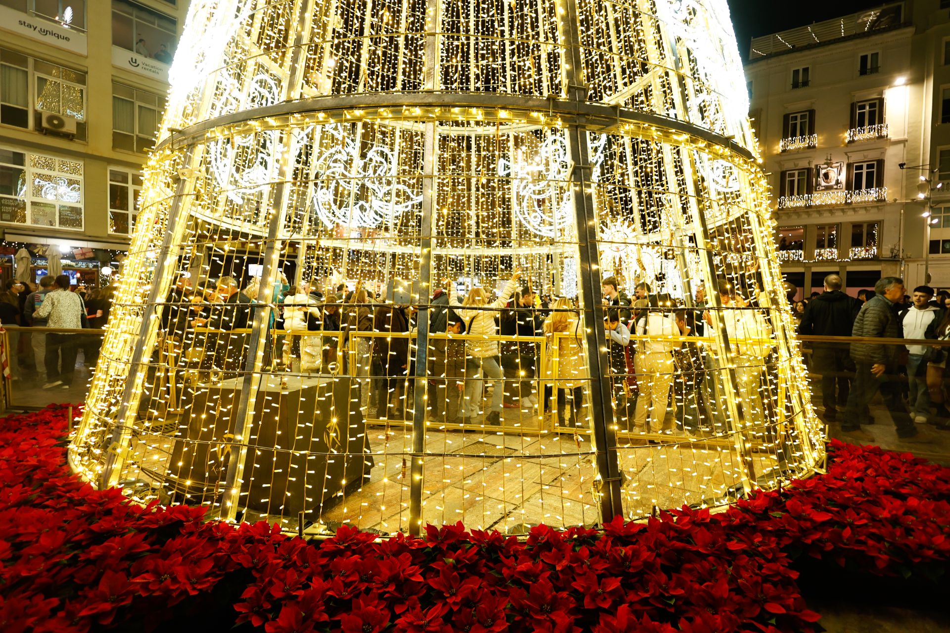 In pictures: Malaga lights up for Christmas