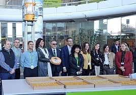 Malaga Airport makes history by reaching 25 million passengers