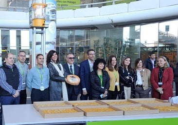 Malaga Airport makes history by reaching 25 million passengers