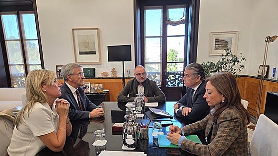Andalucía's regional government promises activation of 80% of services at Estepona hospital