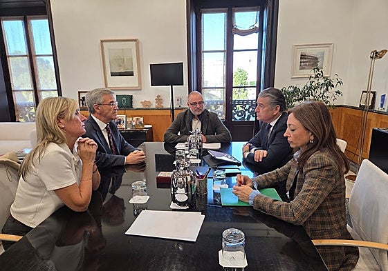 Meeting between the mayor of Estepona and the regional minister of health.
