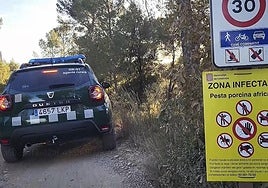Spain's emergency military unit to join containment operation of wild boars infected with swine flu