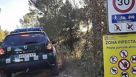 Spain's emergency military unit to join containment operation of wild boars infected with swine flu