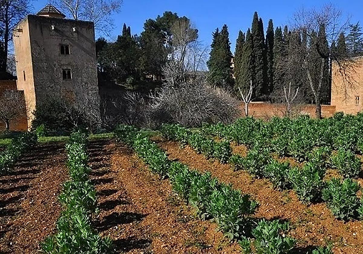 Casa de la Huerta Colorá in the Generalife .
