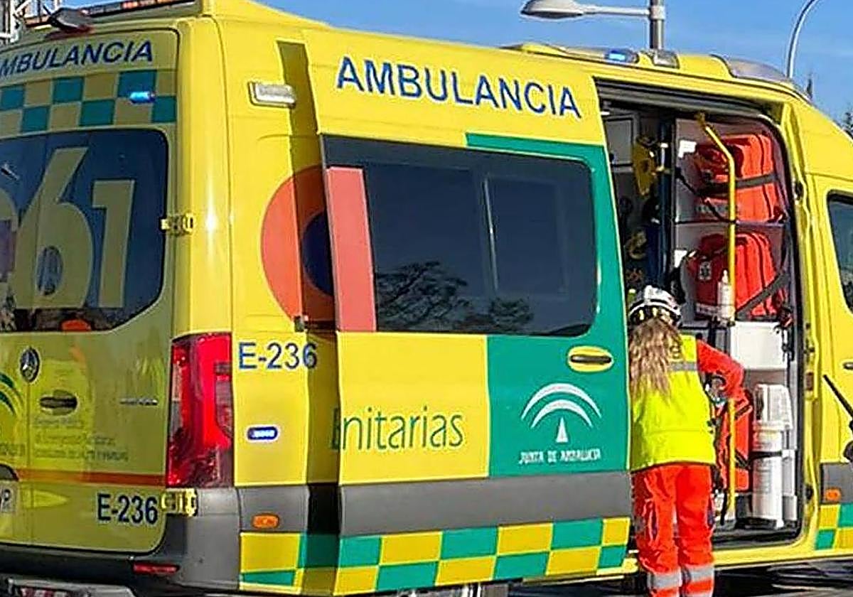 Man, 54, dies in collision between lorry and van in Malaga province