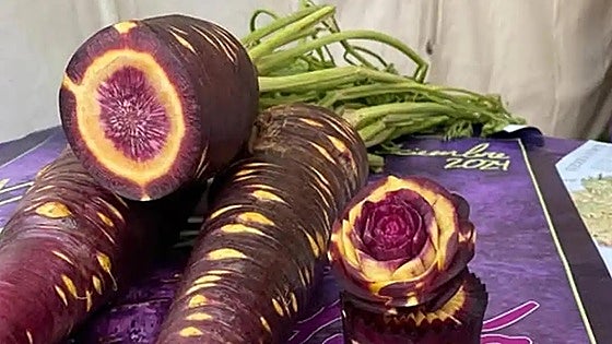 Cuevas Bajas pays tribute to its emblematic purple carrot