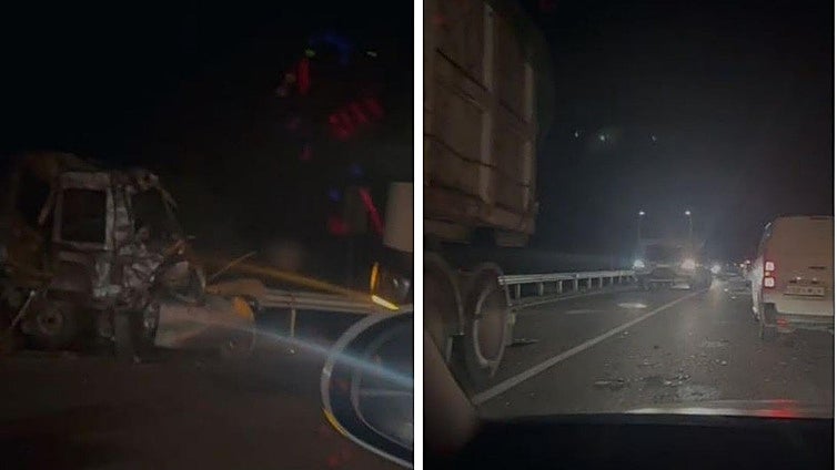 Fatal accident in Malaga province: driver dies in collision in attempt to avoid wild boar