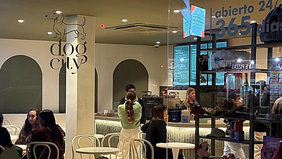 First luxury hotel for dogs opens in Malaga