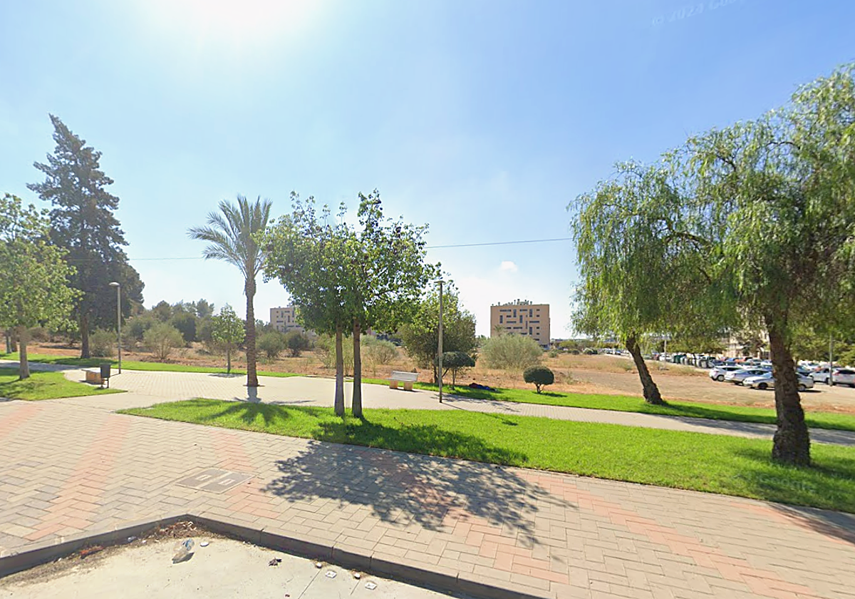 Green light given for new rugby field in a boost for local clubs in Malaga city