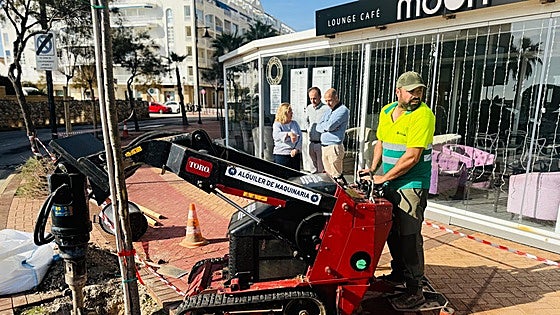 Fuengirola town hall launches new street tree replanting plan