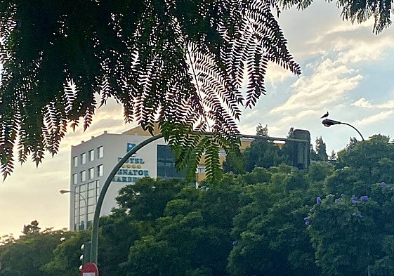 View of the building that the Meliá chain will take over to open its sixteenth hotel in the Costa del Sol province.