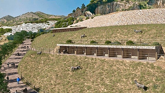 Visitor park for tourist donkeys planned on the Costa del Sol