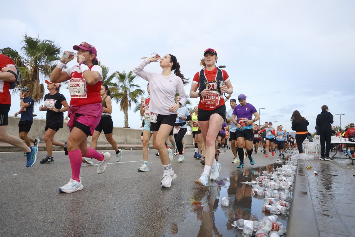 Malaga marathon in pictures (1)