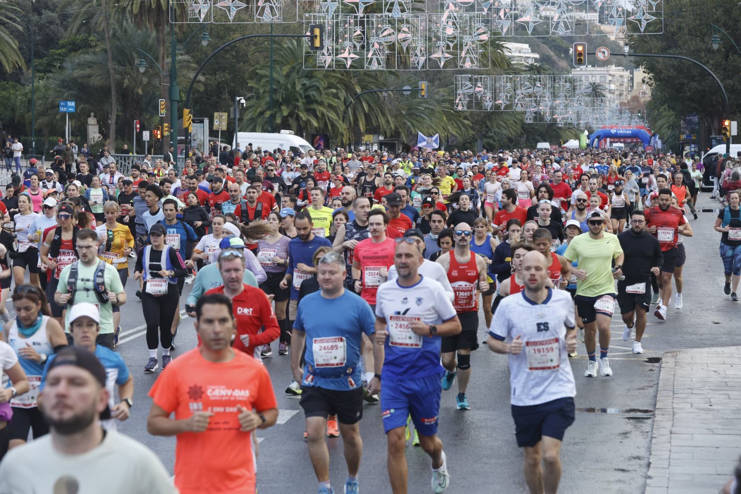 Malaga marathon in pictures (1)