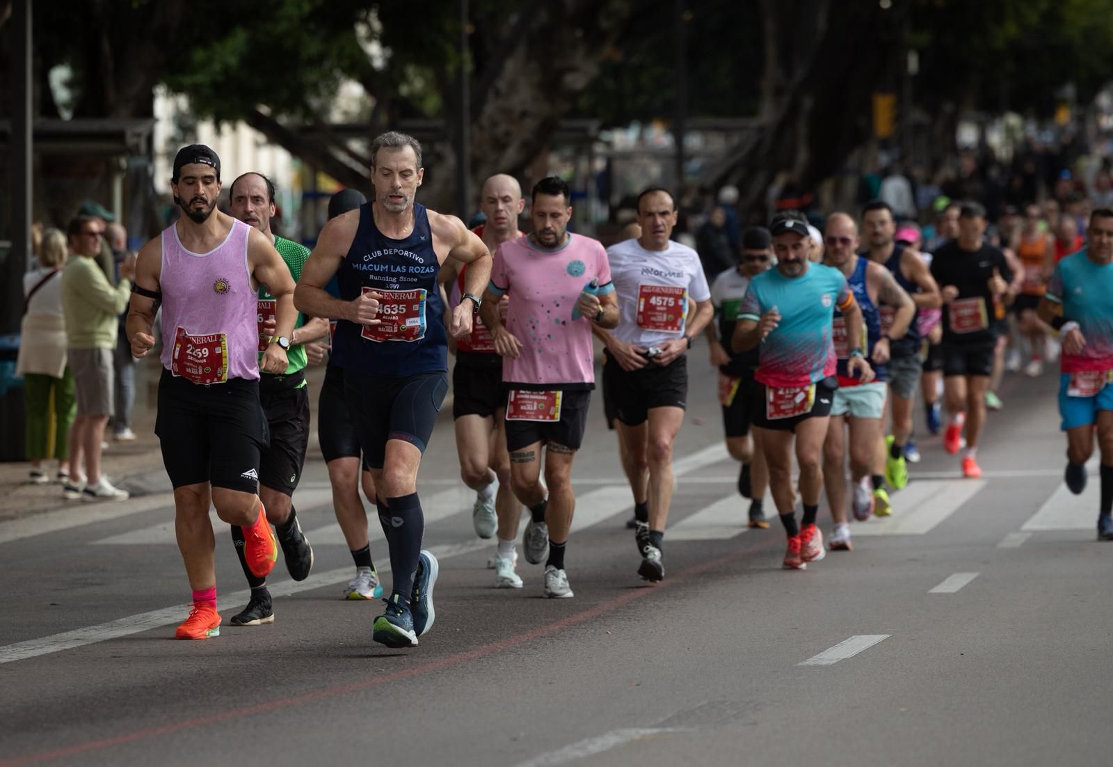 Malaga marathon in pictures (2)