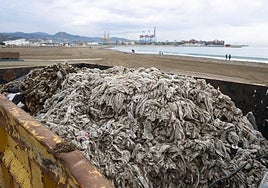 Huelin beach on Monday.