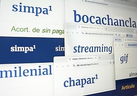 These are some of the new entries included in the official dictionary of the Spanish language