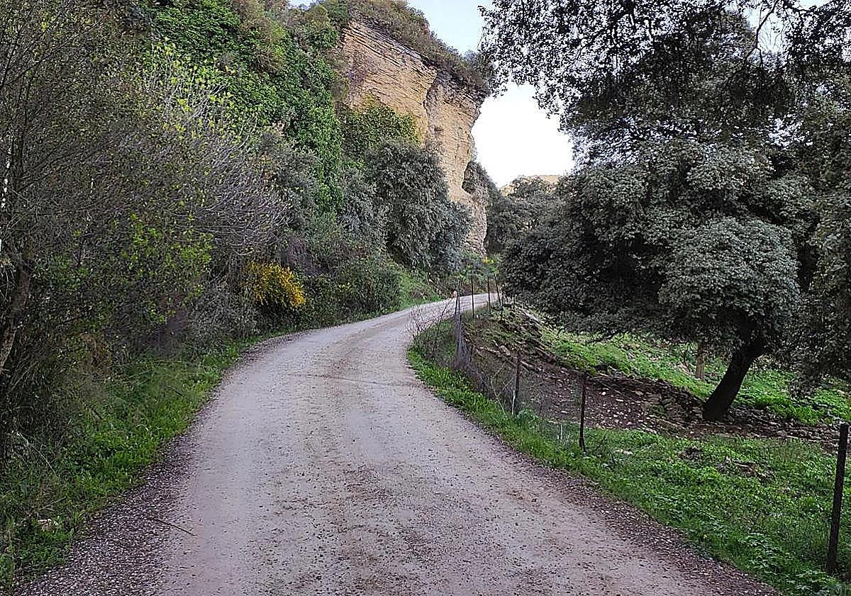 Imagen principal - Ronda's hidden gorge: not as famous as the town centre one, but it's just as spectacular