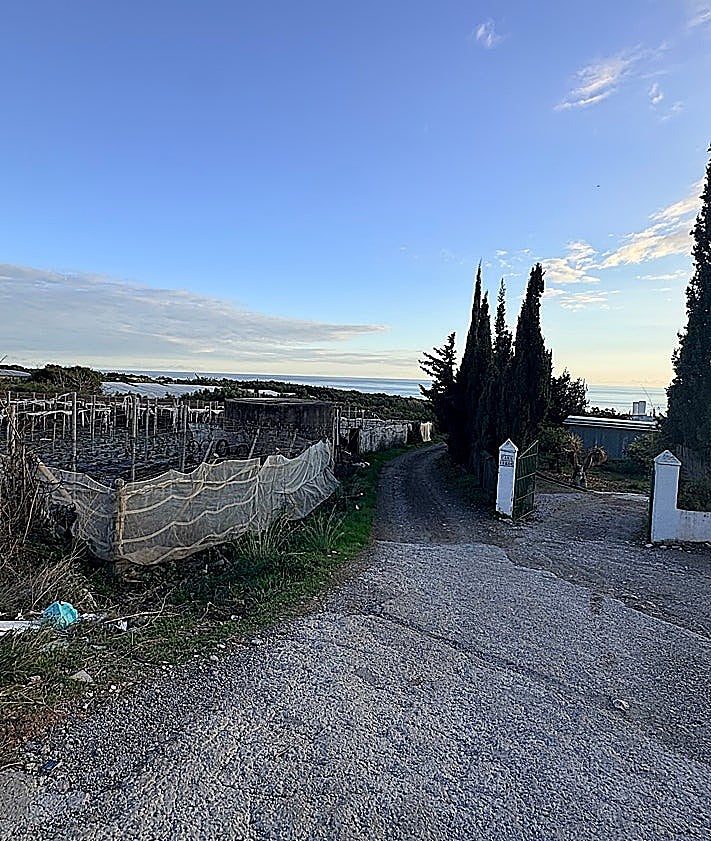 Imagen secundaria 2 - Images of the Vega de Maro area.