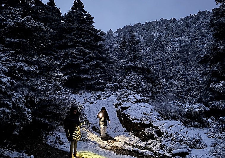 White Christmas? Winter storms leave snow on Malaga's mountains and temperatures plummet along the Costa, in pictures