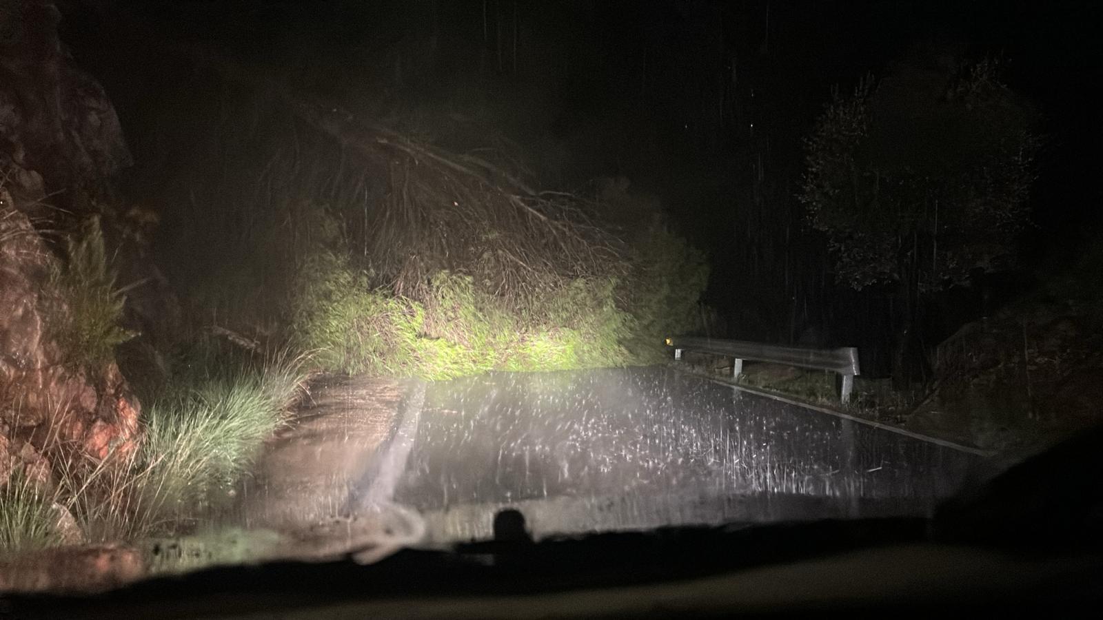 The MA-5401, between Casarabonela and El Burgo, remains closed to traffic after a tree fell blocking the road.