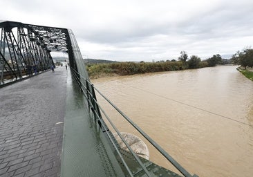 Guadalhorce river, after reaching an all-time high, returns to safe levels in Cártama but is on alert in north of Malaga province