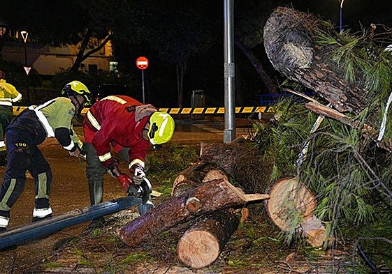 Storm results in more than 300 emergency incidents across Malaga province with people rescued and evacuated from their homes