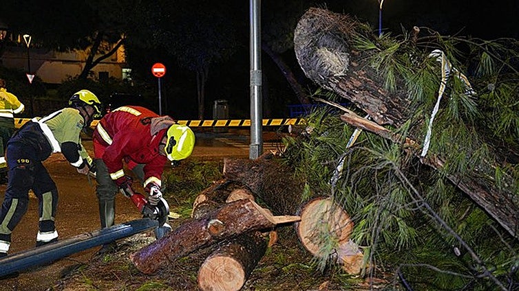 Storm results in more than 300 emergency incidents across Malaga province with people rescued and evacuated from their homes