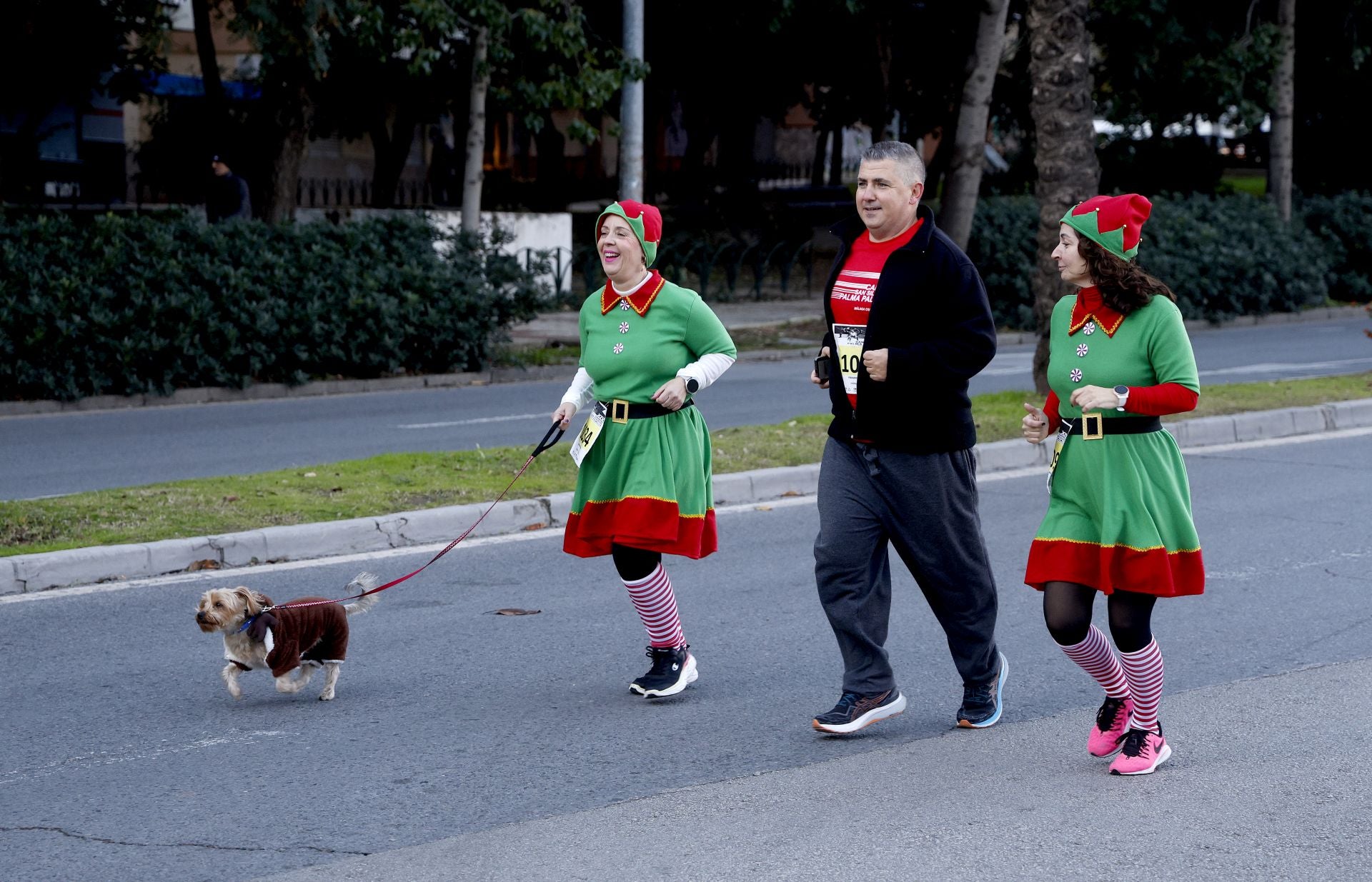 Malaga's charity San Silvestre fun run - in pictures