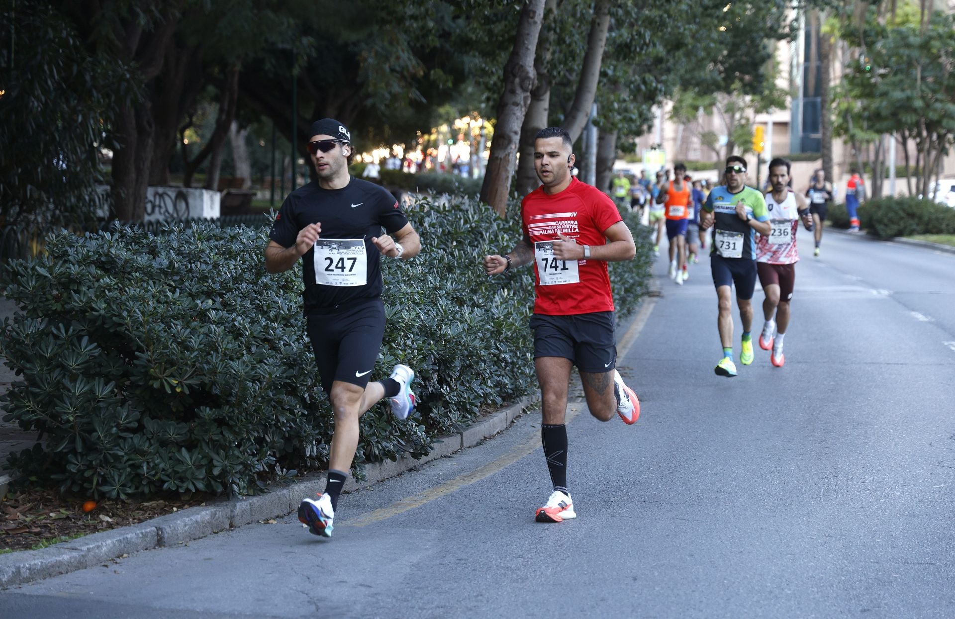 Malaga's charity San Silvestre fun run - in pictures