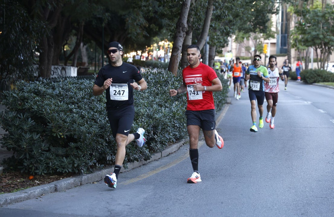 Malaga's charity San Silvestre fun run - in pictures