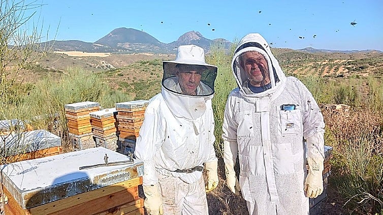 The best honey in Andalucía comes from the Malaga mountains