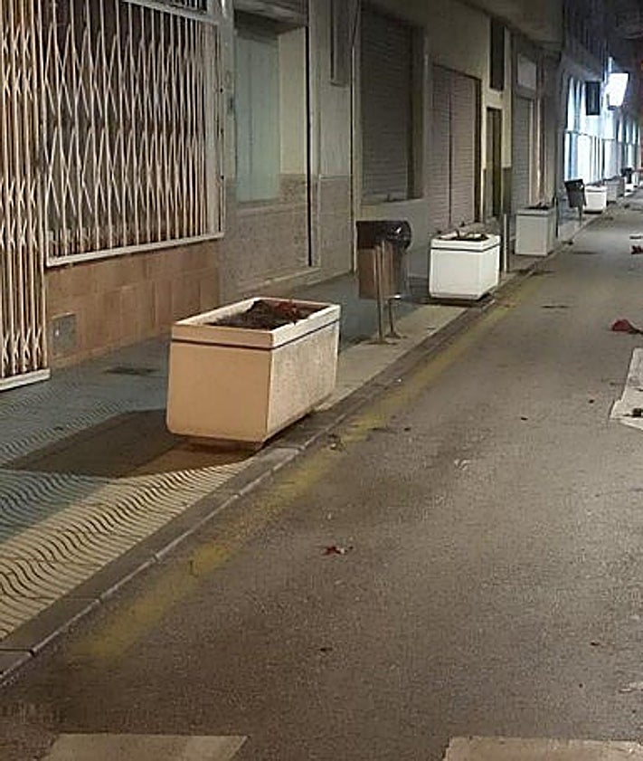 Imagen secundaria 2 - Vandalism at the padel courts in Torre del Mar, near Algarrobo health centre and poinsettias strewn across the road in Torre del Mar