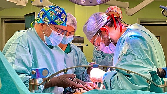 Malaga Regional Hospital breaks a record by performing 16 transplants in just six days