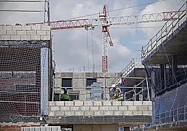 The construction sector registered the highest growth in terms of number of companies since the start of the pandemic.